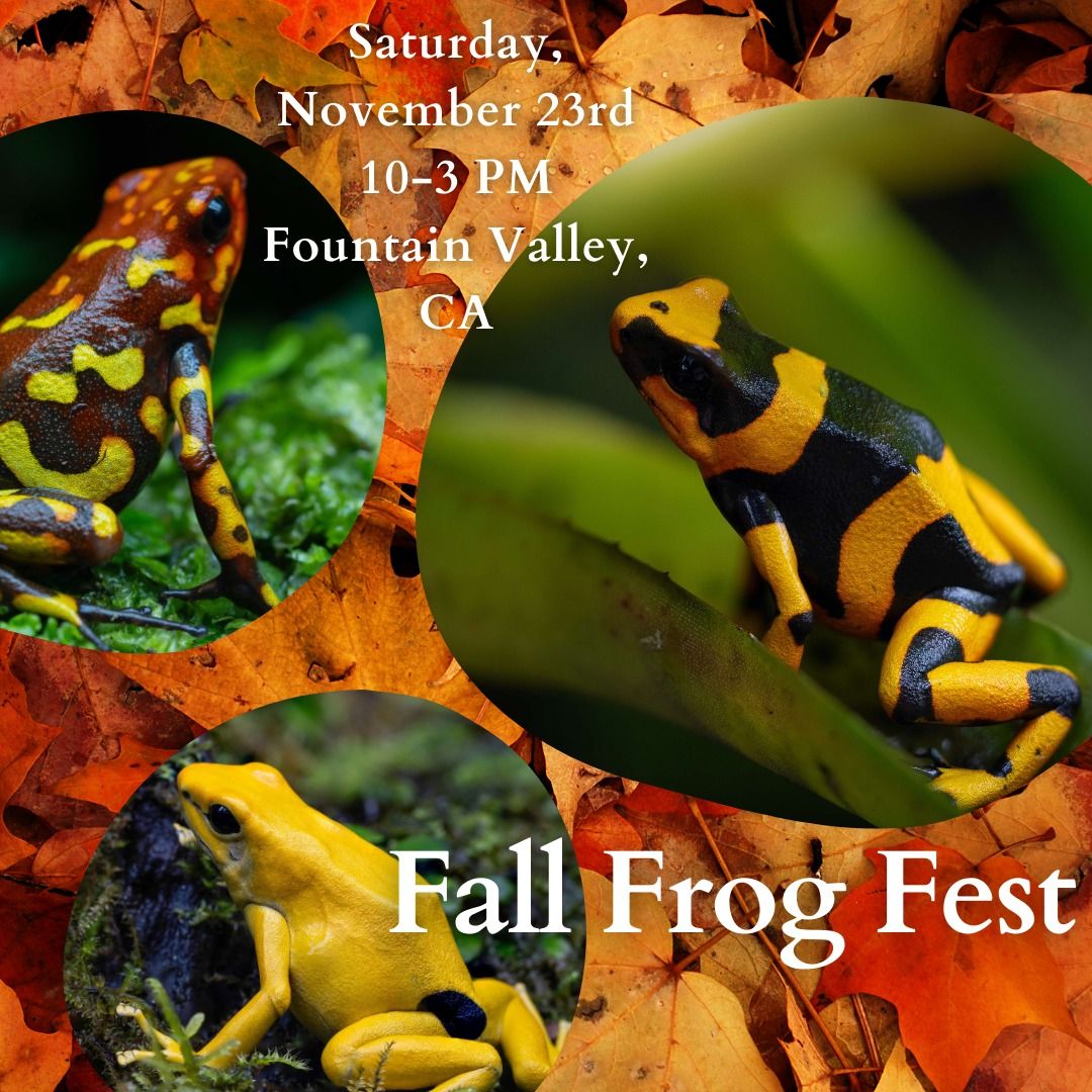 Fall Frog Fest 2024