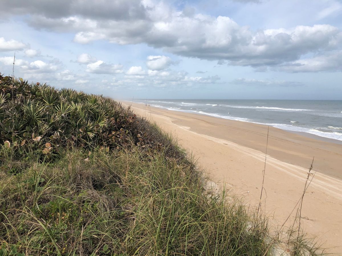 International Coastal Clean-up Apollo Beach