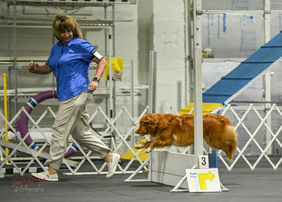 MDTC October Obedience & Rally Trials