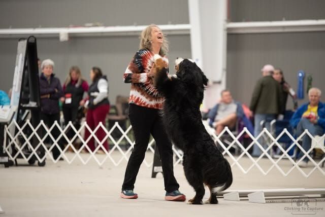 2025 Five Valley Kennel Club Show and Trials