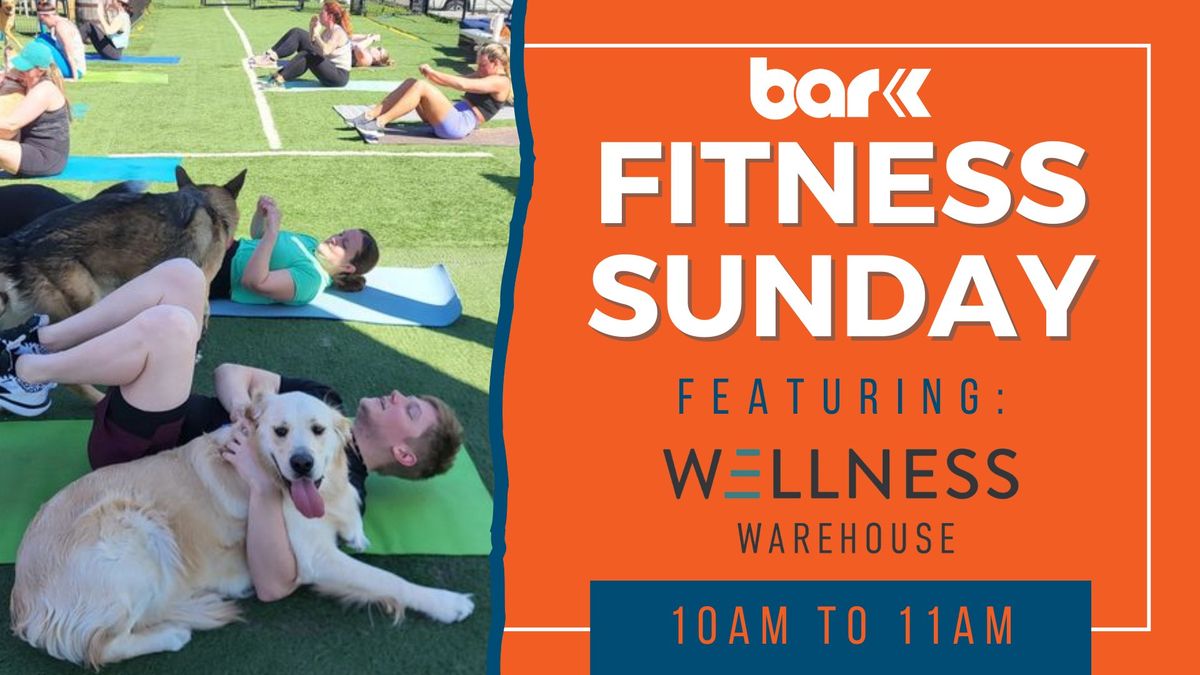 Fitness Sunday: Wellness Warehouse HIIT Class