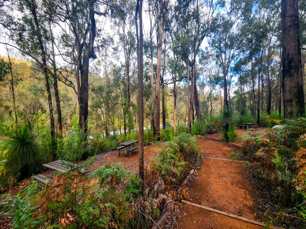 Dwellingup: Murrays Embrace Forest & Water Renewal