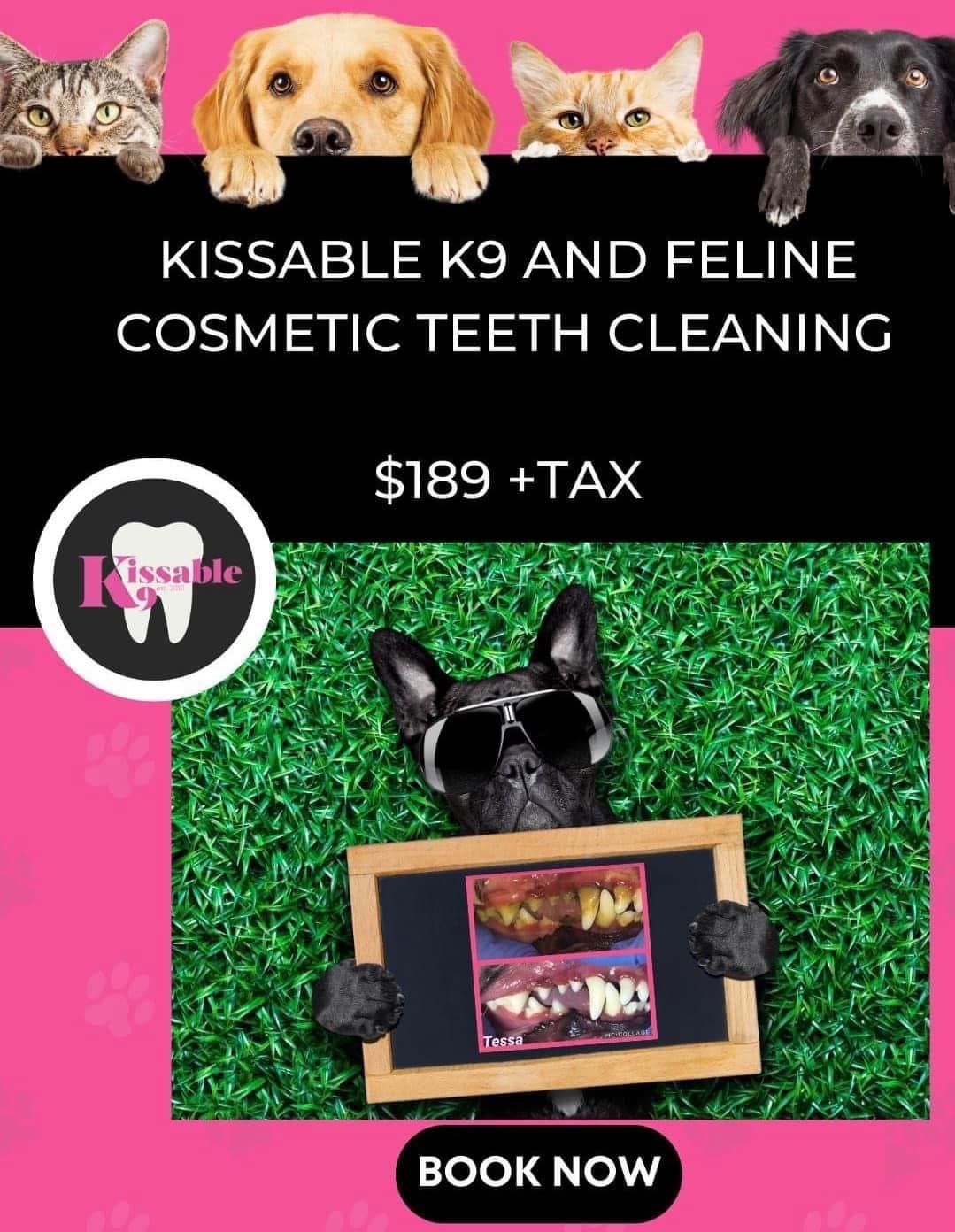 Kissable K9 Cosmetic Teeth Cleaning Clinic