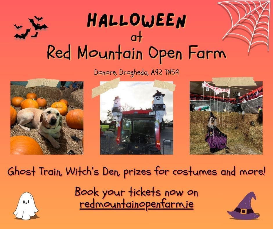 Halloween at Red Mountain Open Farm!