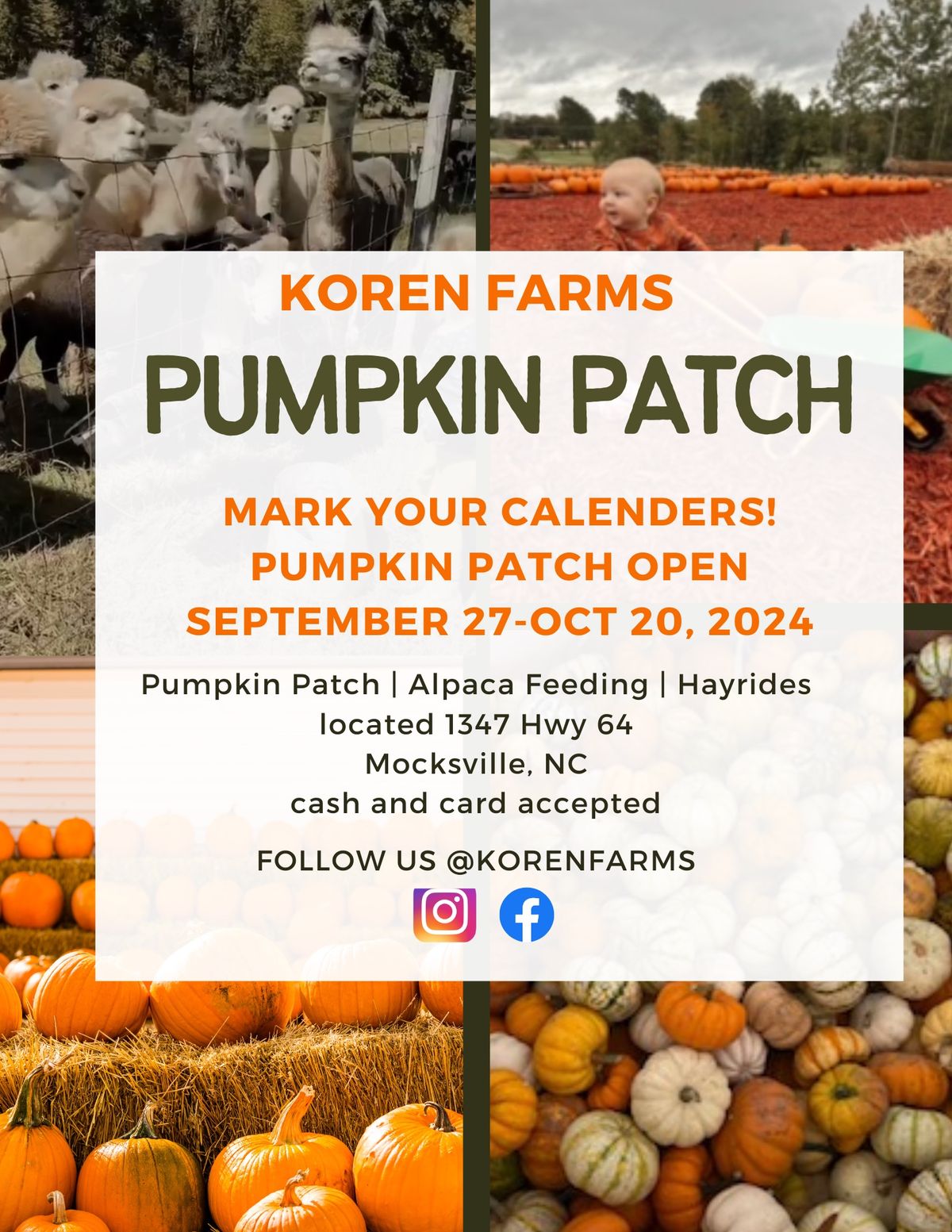 Pumpkin Patch and Fall Events begin