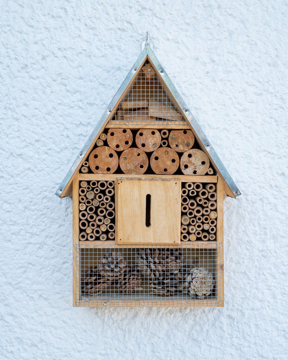 Make Your Own Bug Hotel!, Arbury Court Library, Cambridge, 10 August 2021