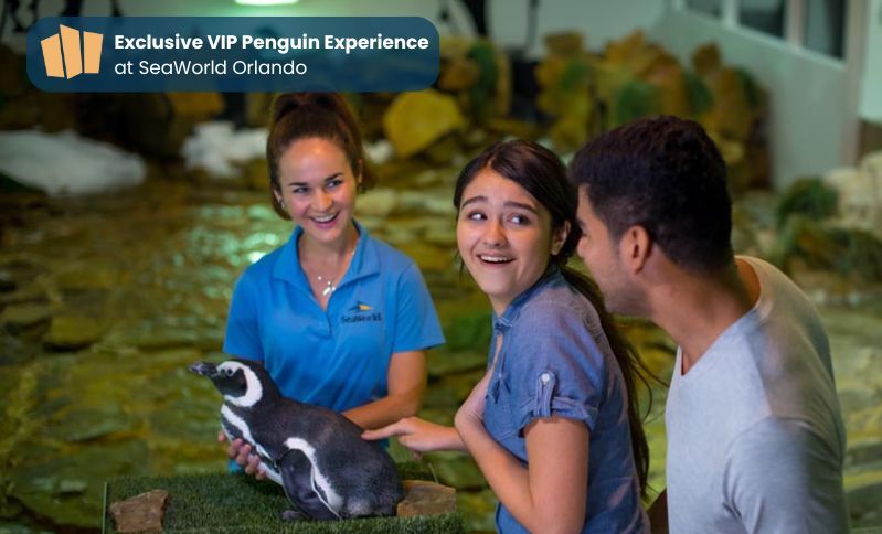 \ud83d\udc27\u2728 Exclusive VIP Penguin Experience at SeaWorld Getaway Deal Orlando \ud83c\udf0a\ud83c\udf1f $499 Per Couple \ud83d\udc91 