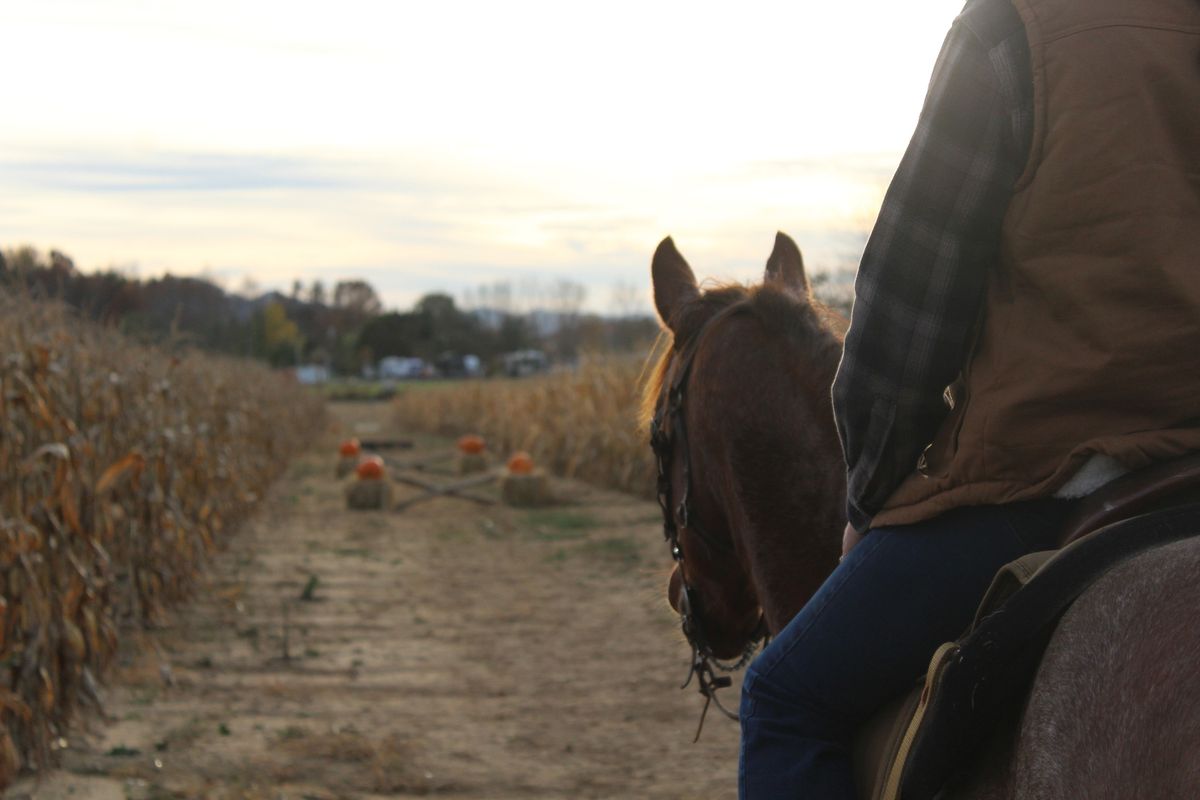 The Fourth Annual Course in the Corn