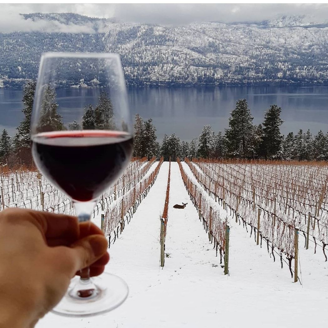 Blind Tasting ? Arrowleaf Cellars