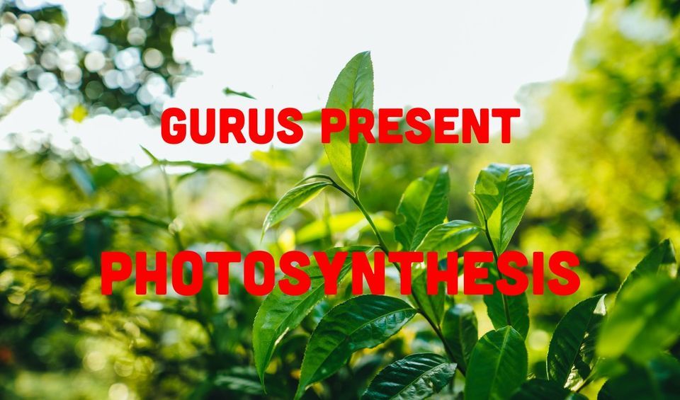 Gurus Present Photosynthesis