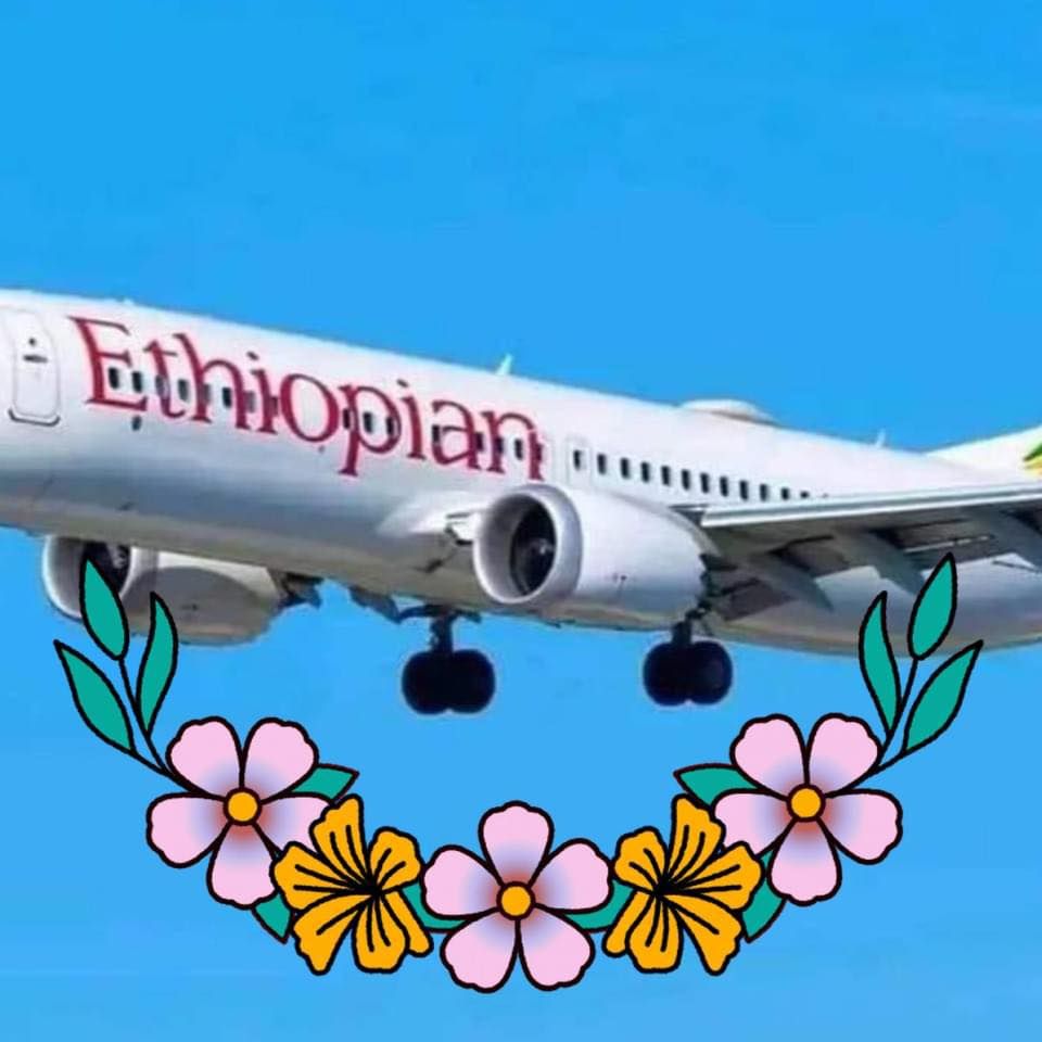 Ethiopian Airlines' Direct Addis Ababa - Conakry Flights