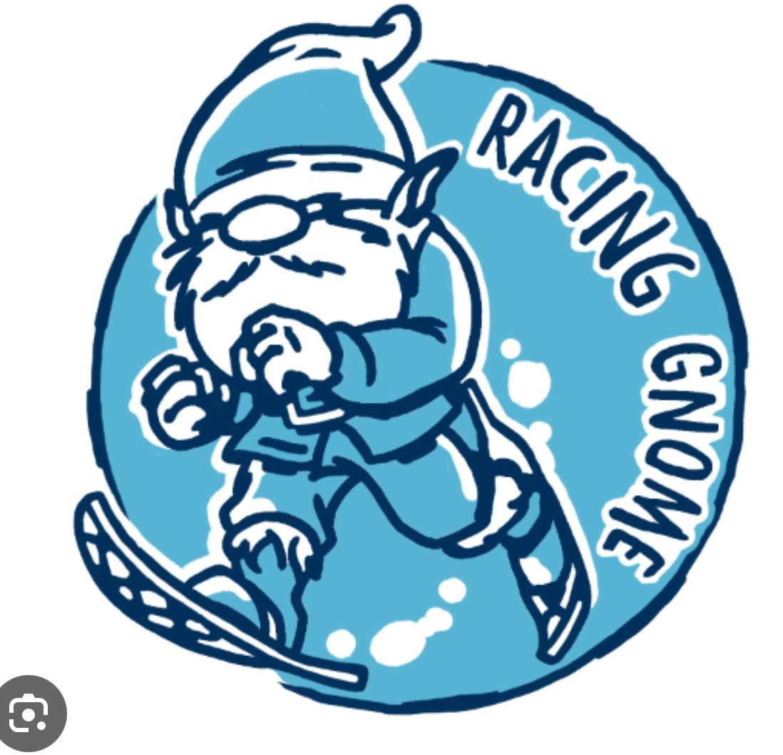 Charity Gnome Racing Night