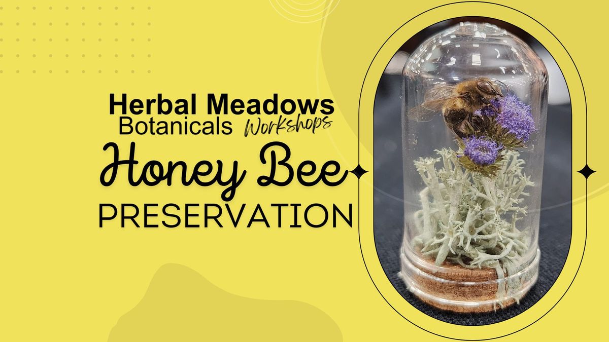 Honeybee Preservation Workshop: Make 2 Honey Bee Domes