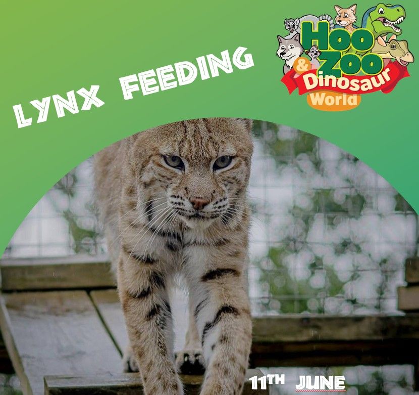 International Lynx Day