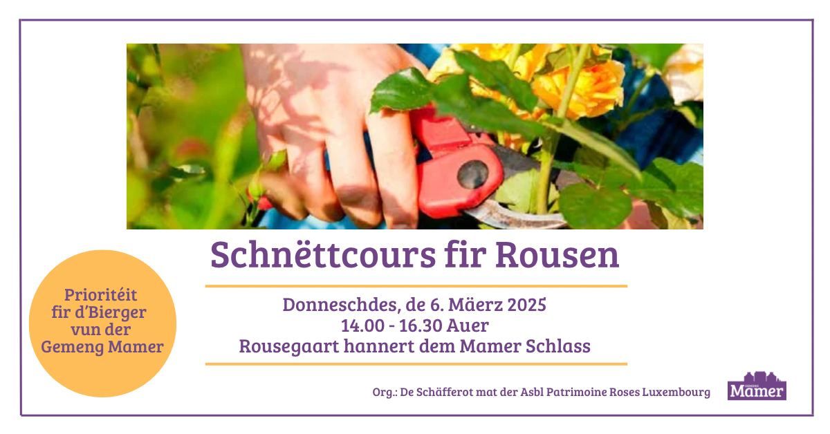 Schn\u00ebttcours fir Rousen