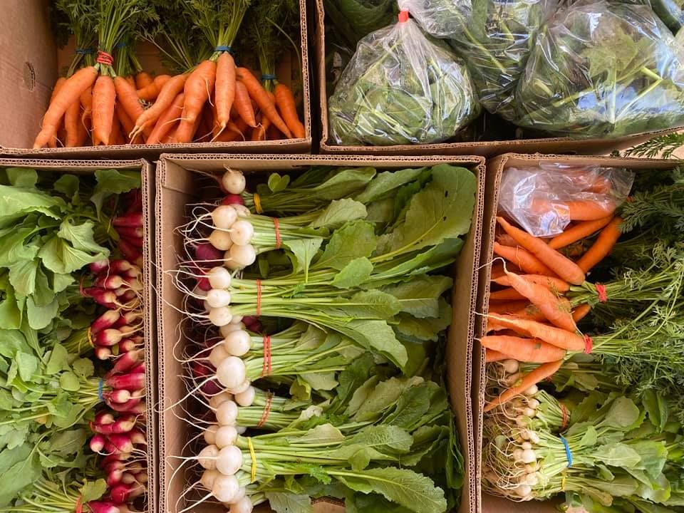 North Georgia Farmers Market