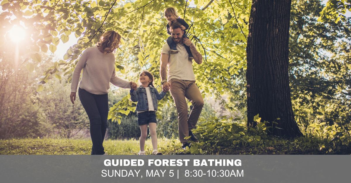 Forest Bathing for Families