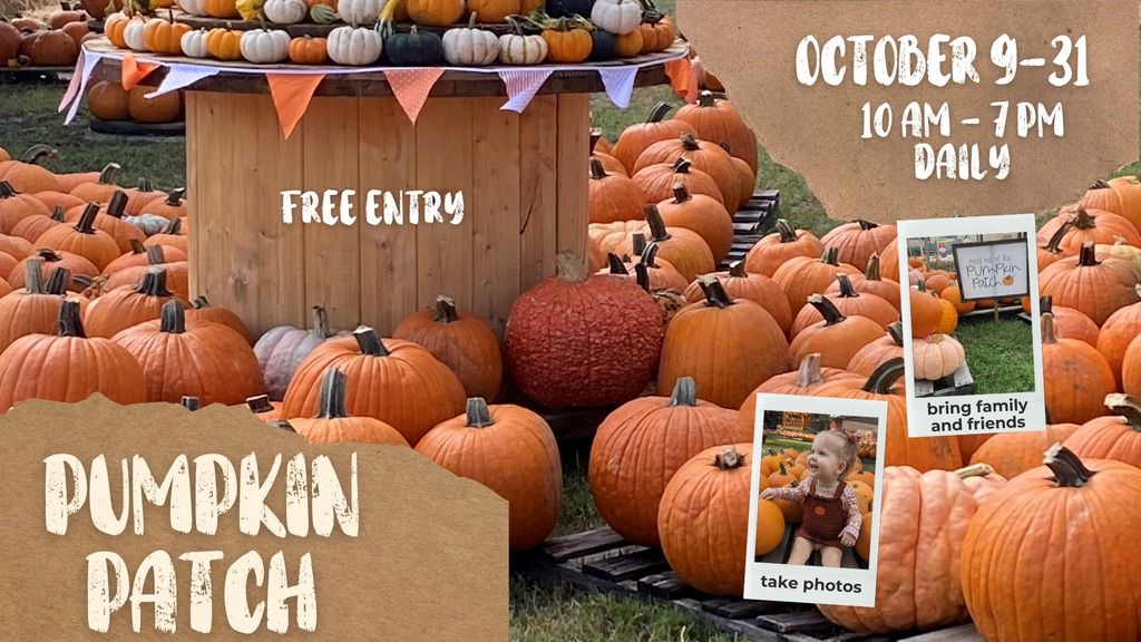 Pumpkin Patch - Free Entry