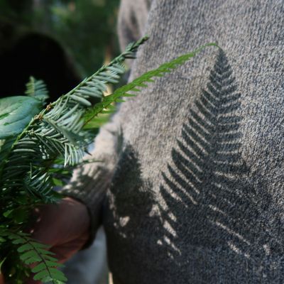 Wild Within Wellness