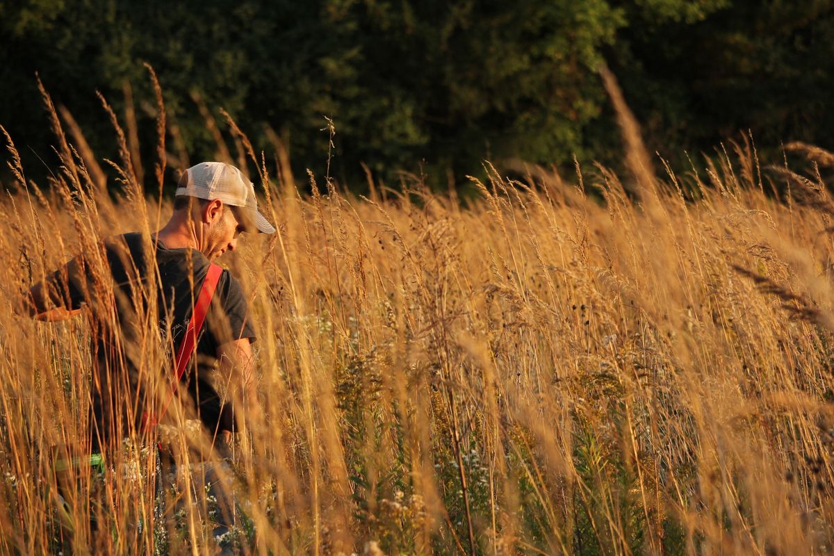 Seed Collecting at Westport Prairie (October)