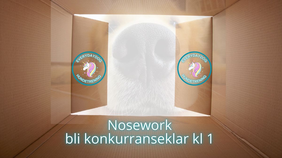 Nosework - bli konkurranseklar kl 1 (Ask\u00f8y) 