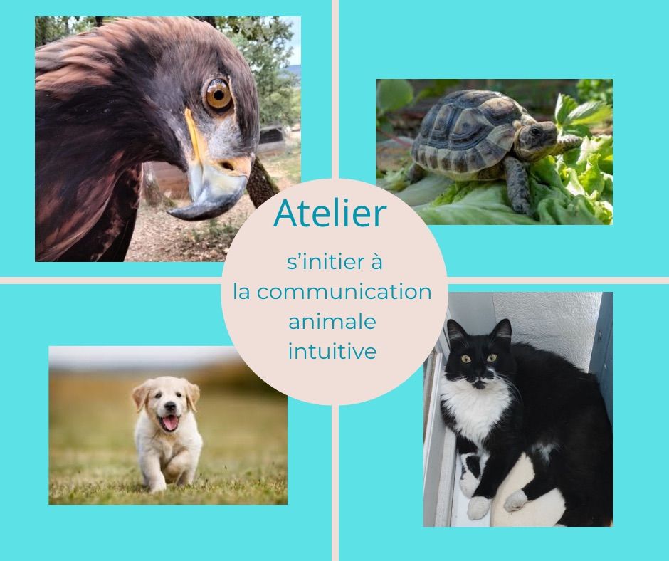 ATELIER S\u2019INITIER A LA COMMUNICATION ANIMALE 