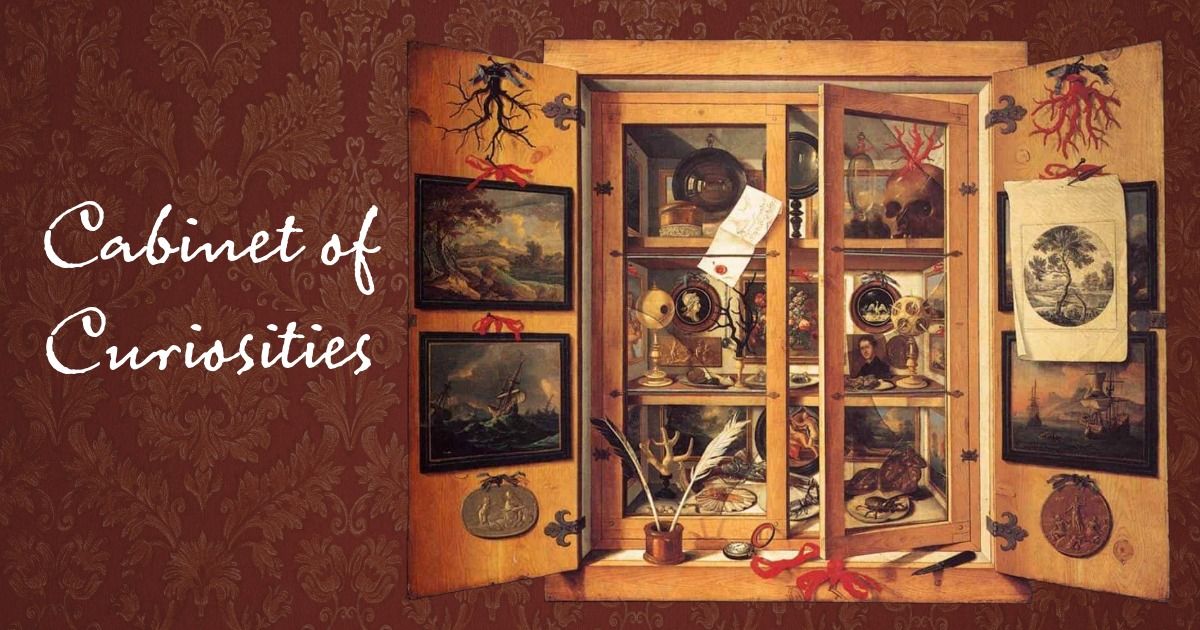 Museum Kids: Cabinet of Curiosities