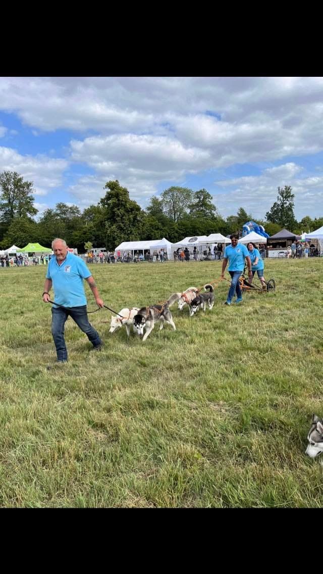 SHWA and at Abingdon Air and Country Show