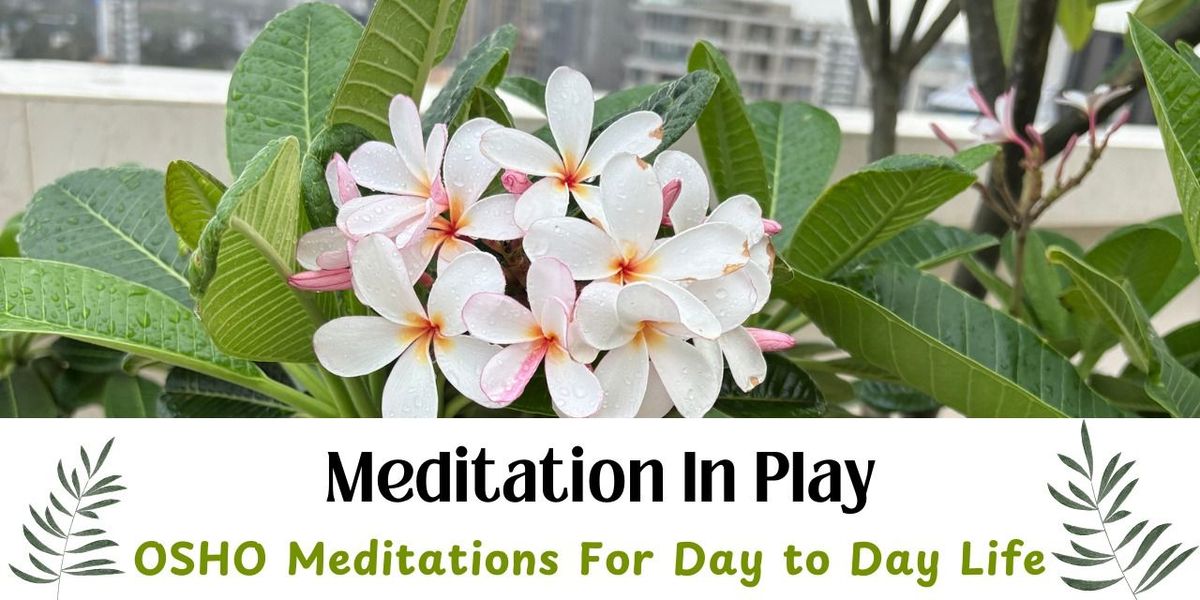 Meditation in Play