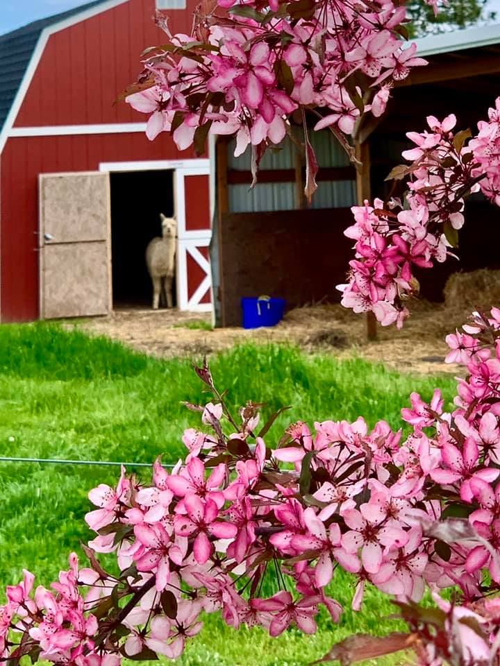 Farm Tour