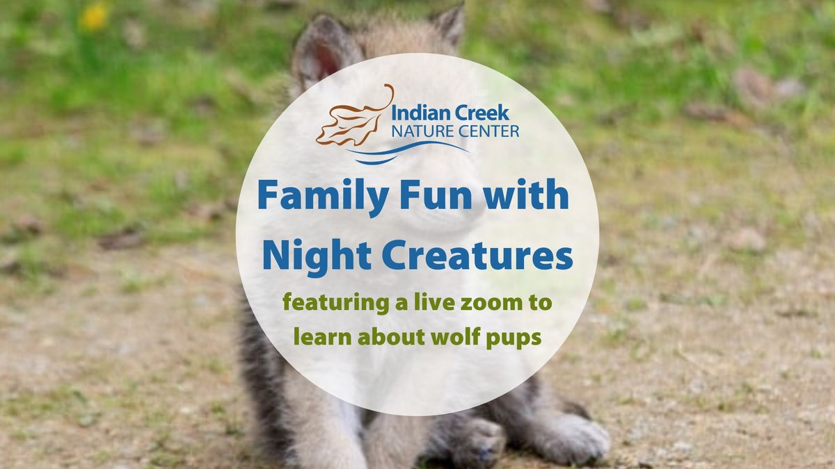 Family Fun with Night Creatures