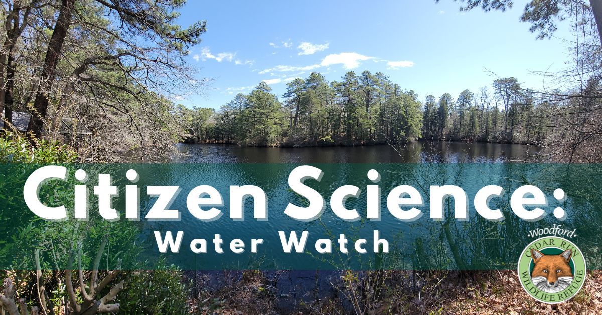 Citizen Science: WaterWatch