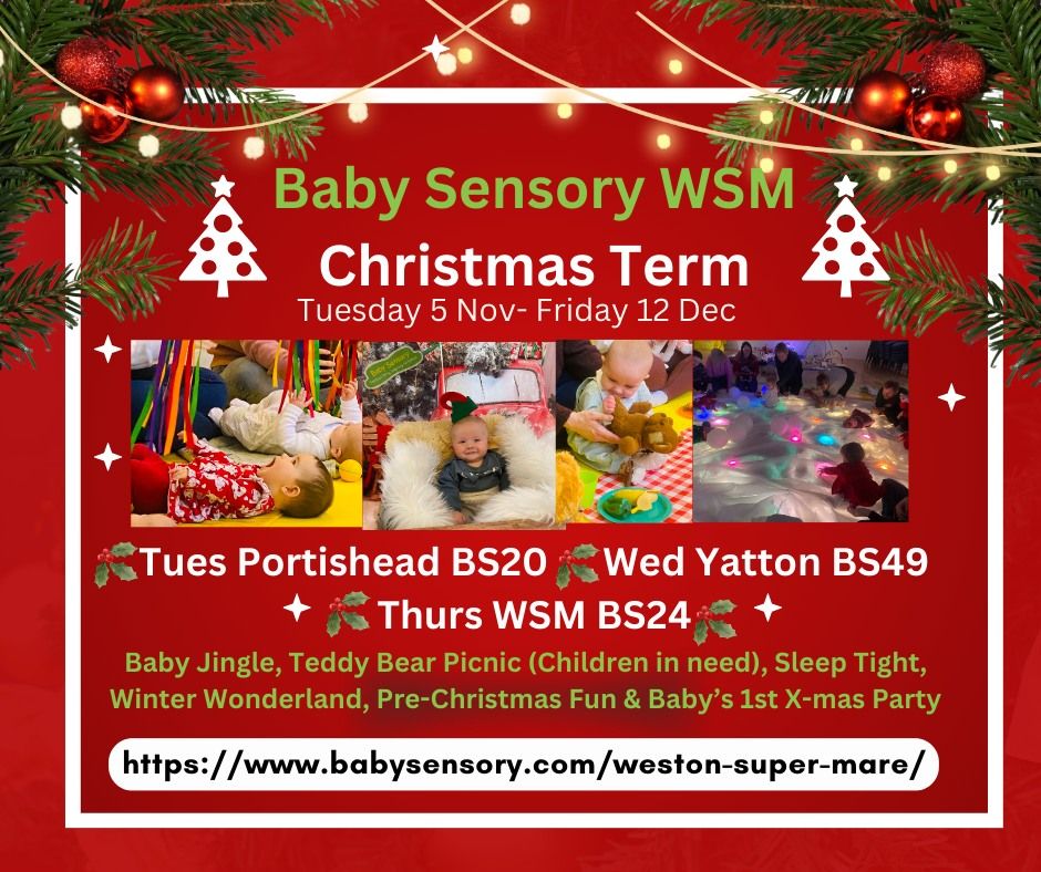 Baby Sensory Christmas Term Locking Castle WSM