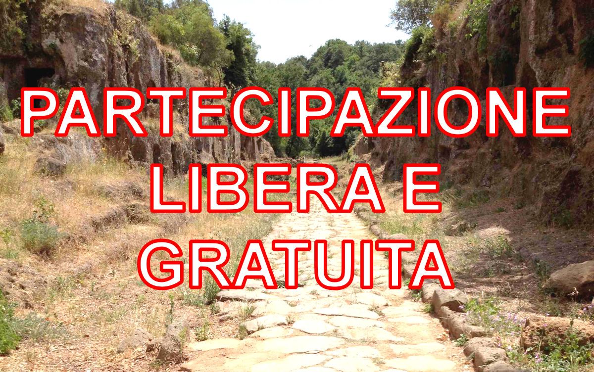 I TESORI NASCOSTI: Via Amerina-Cavo degli Zucchi-Falerii Novi-Visita Gratuita Forte Sangallo e Museo