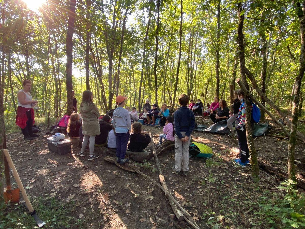 Stage en for\u00eat - Graine des bois - octobre 2024