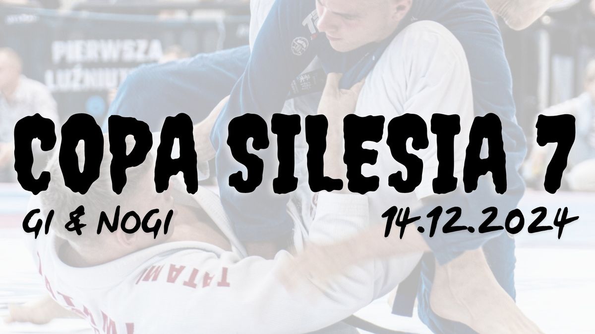 COPA SILESIA 7