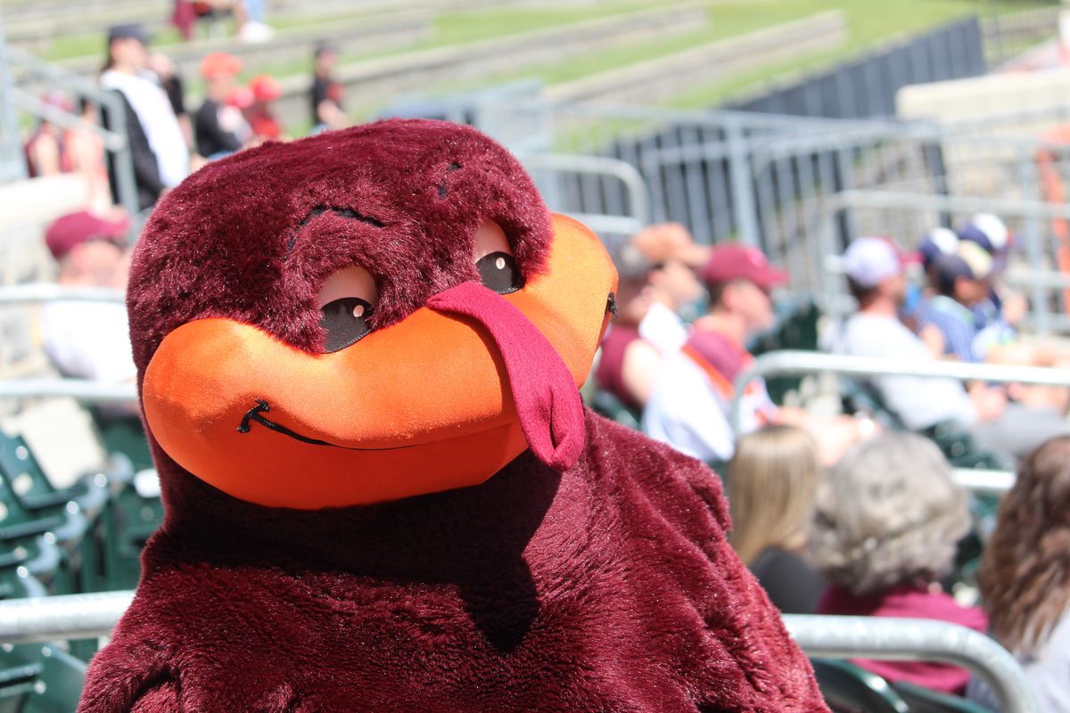 Charlotte 49ers at Arkansas Razorbacks Baseball