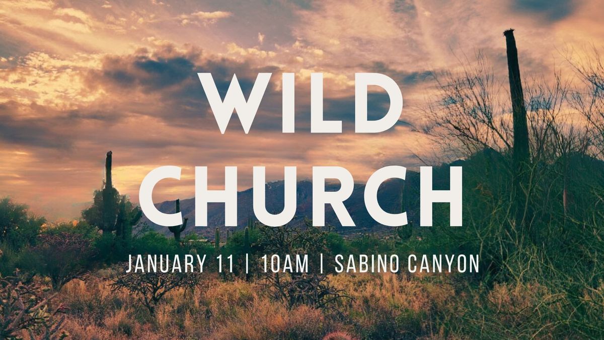 Wild Church: Sabino Canyon