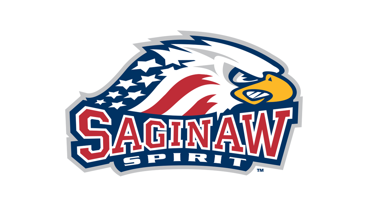 Saginaw Spirit vs. Brantford Bulldogs