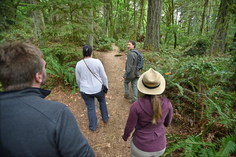 Discovering Defiance: Drop-in Hikes at Point Defiance