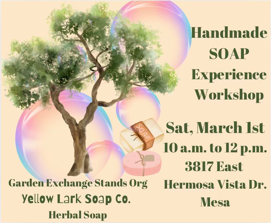 Handmade Soap Experience Workshop