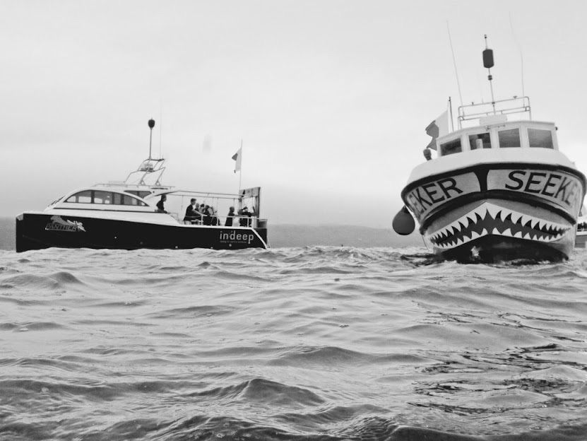 Plymouth Hardboat diving 