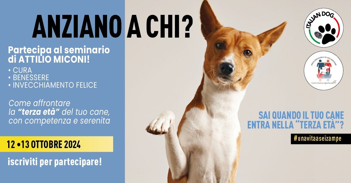 Anziano a chi? - Seminario di Attilio Miconi