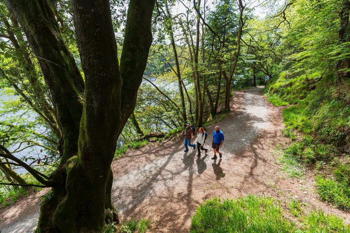 Family walk at Penrose 