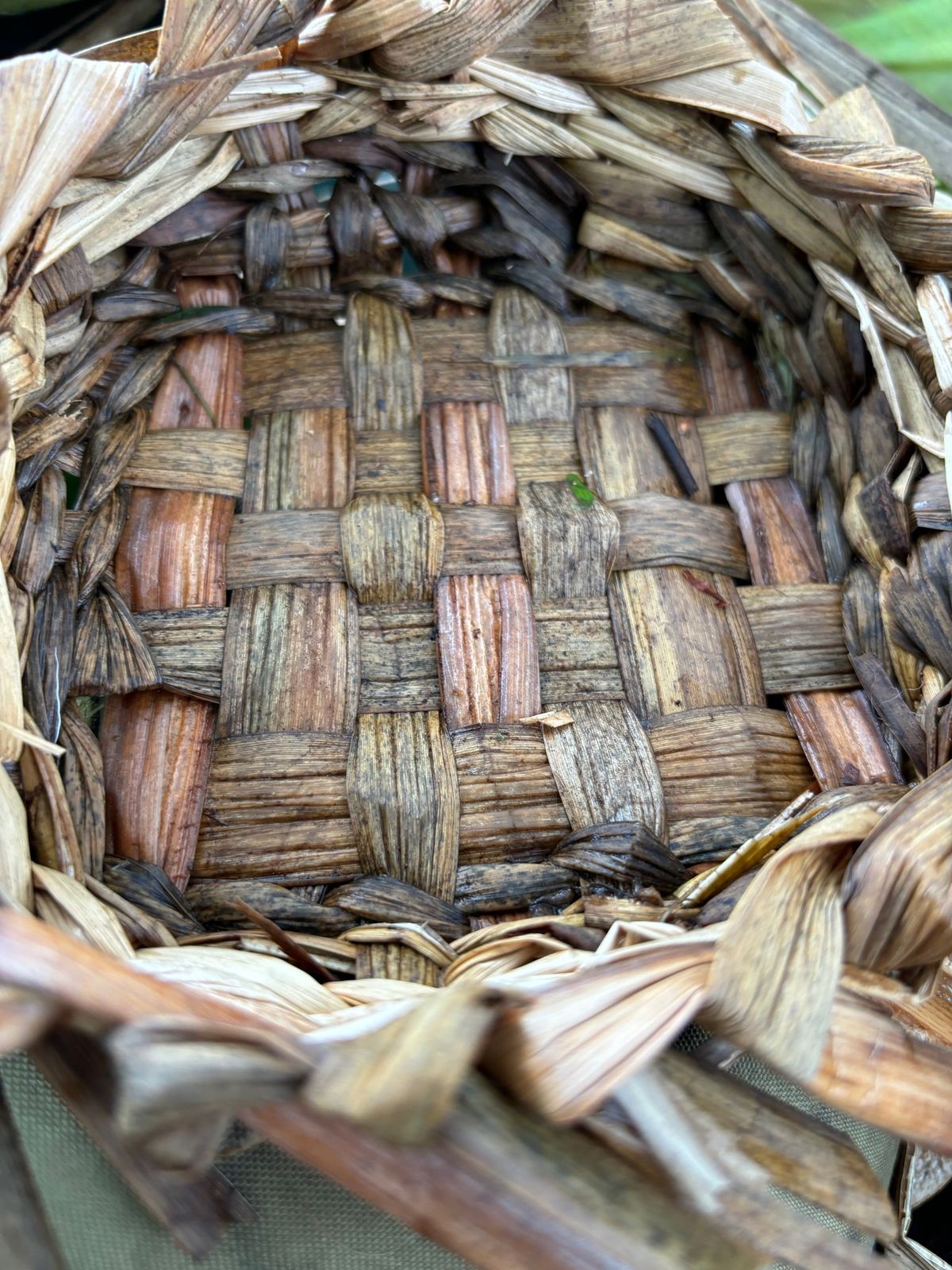 Song + Weave. March 22nd, Honouring Ostara, Spring Equinox 