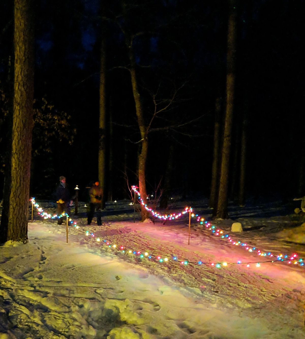 Candlelit Snowshoe Soiree