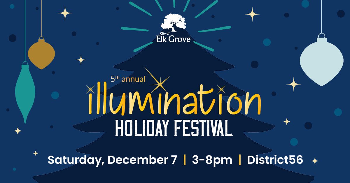 5th Annual Illumination Holiday Festival