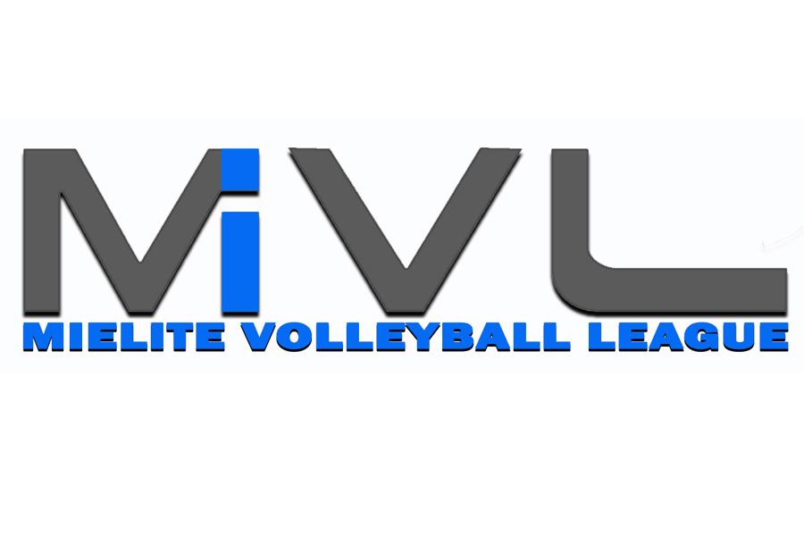 Reverse Coed 4s Adult Volleyball League