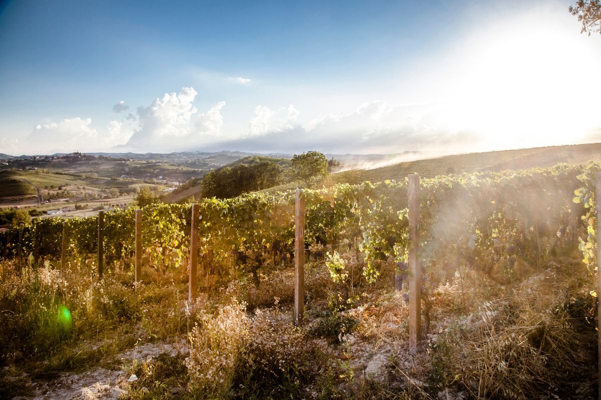 Vinsmaking med Vinory p\u00e5 La Osteria, L\u00f8renskog