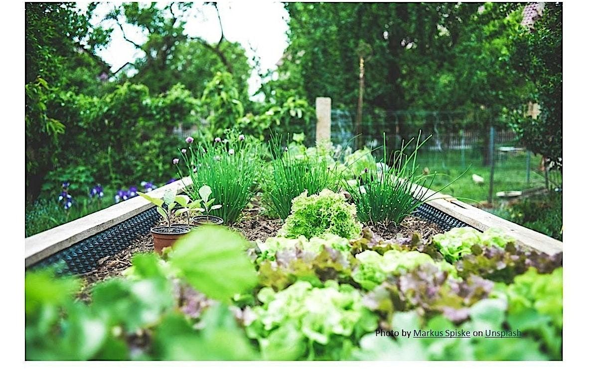 Frederick County Master Gardeners: So You Think You Want a Veggie Garden?